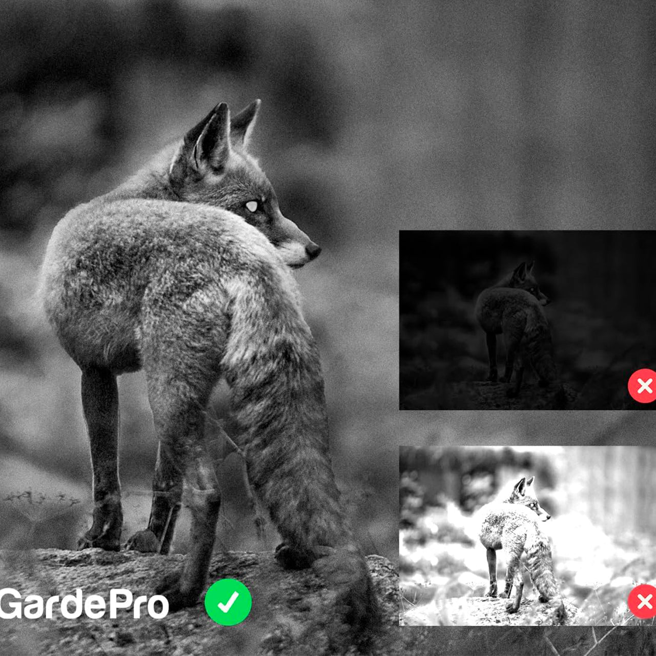 Cámara Fototrampeo GardePro E5 S