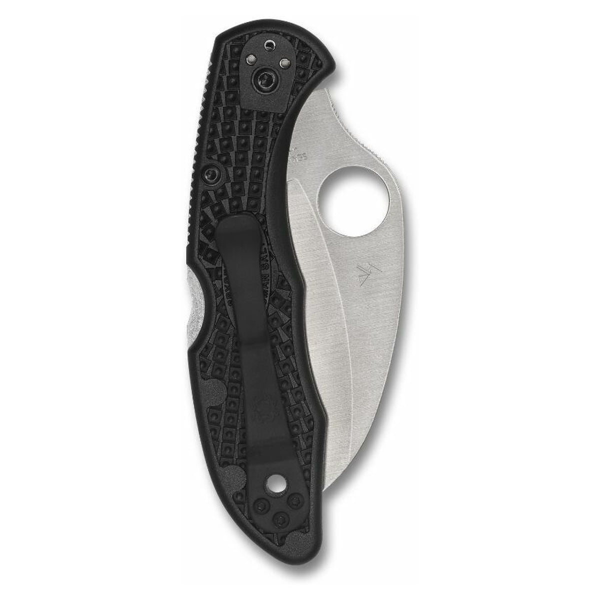 Navaja Spyderco Tasman Salt 2 · vista 12