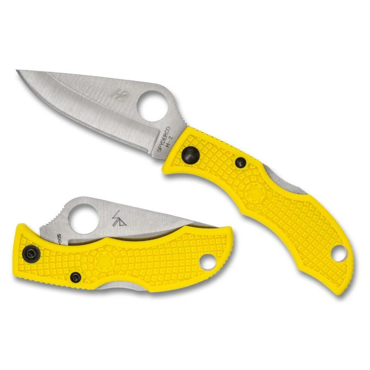 Navaja Spyderco Ladybug 3 Salt · vista 3