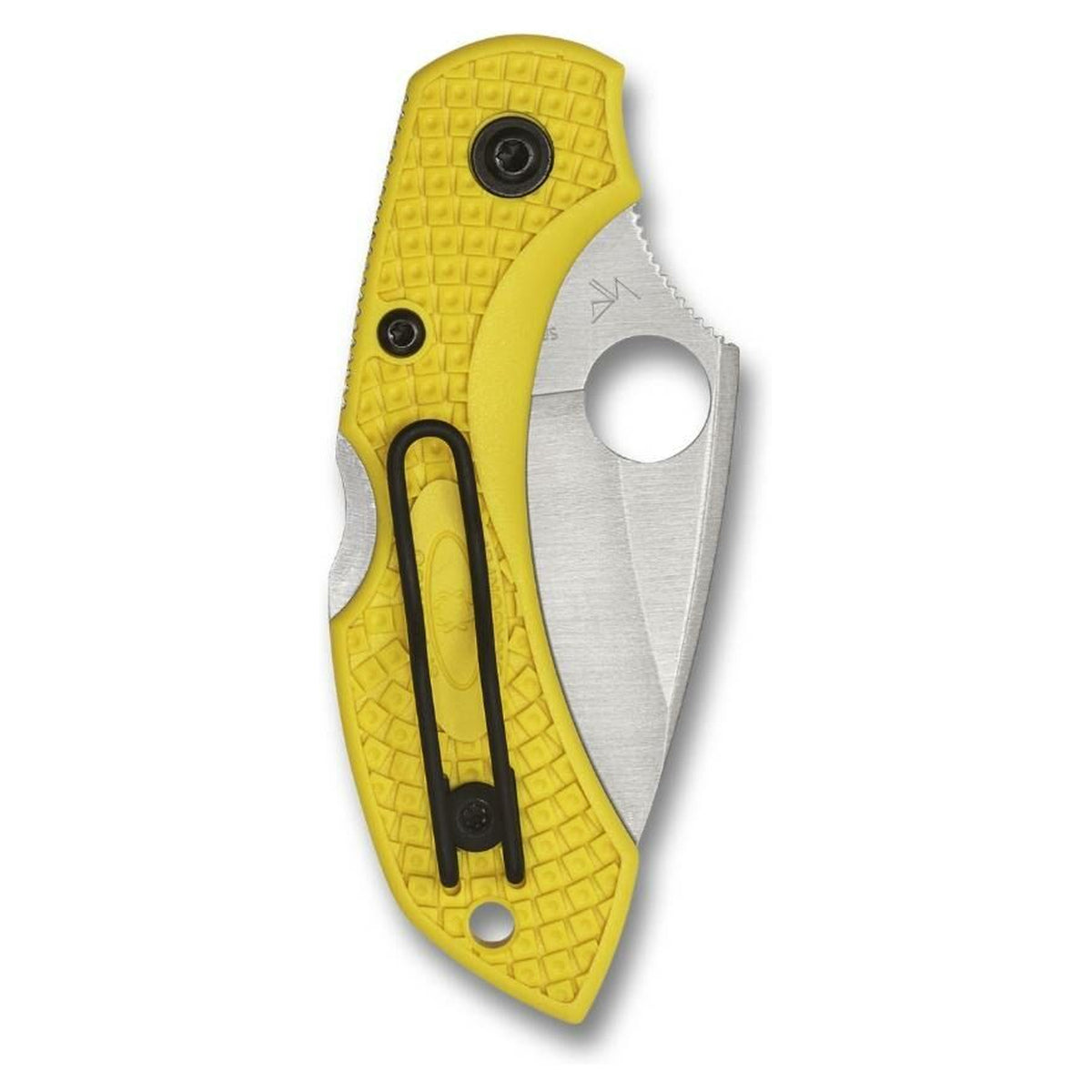 Navaja Spyderco Dragonfly 2 SALT · vista 6