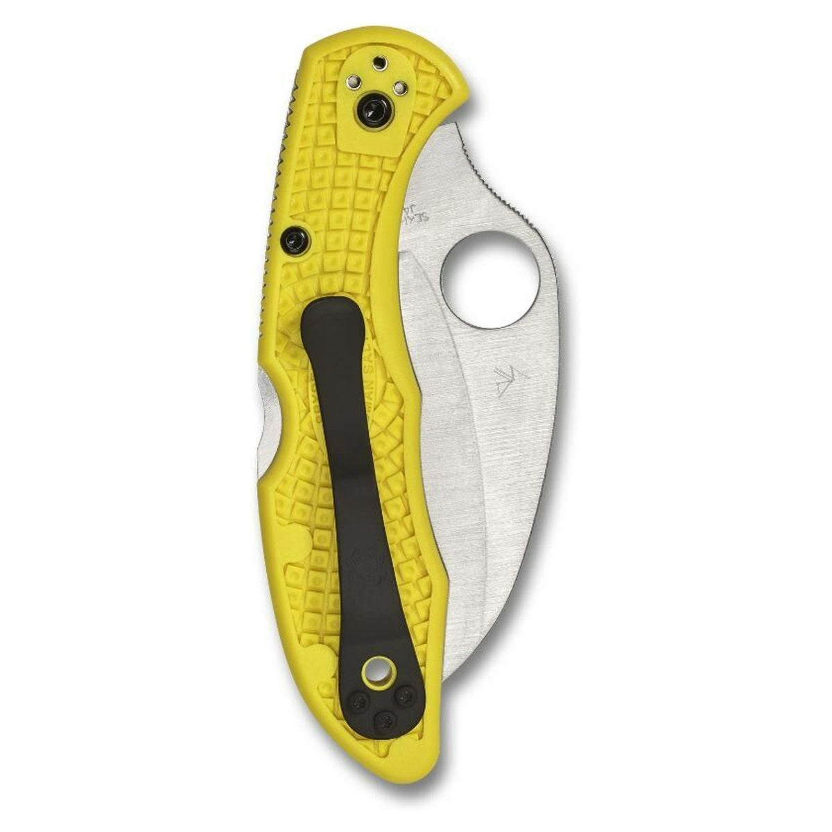 Navaja Spyderco Tasman Salt 2 · vista 8