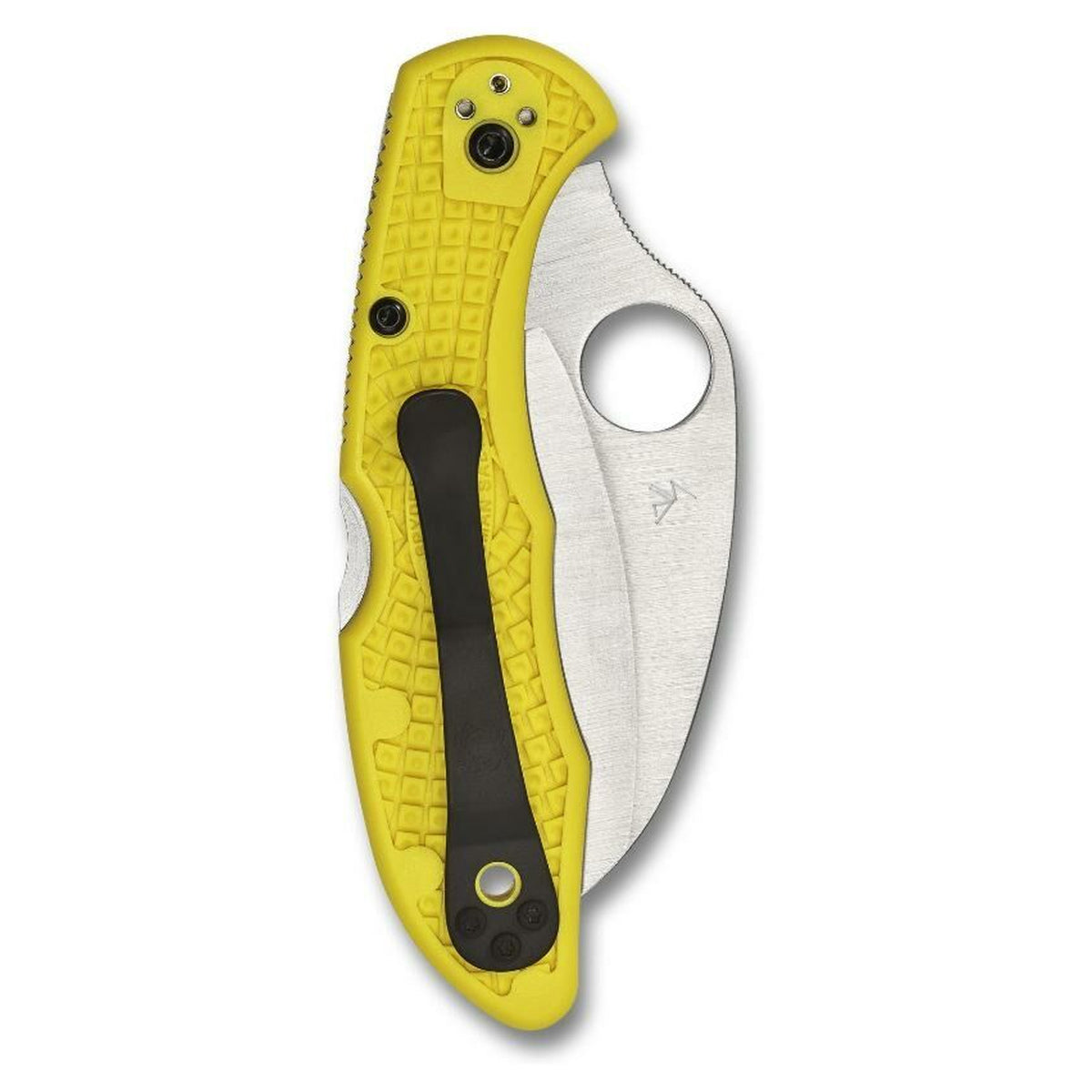 Navaja Spyderco Tasman Salt 2 · vista 15
