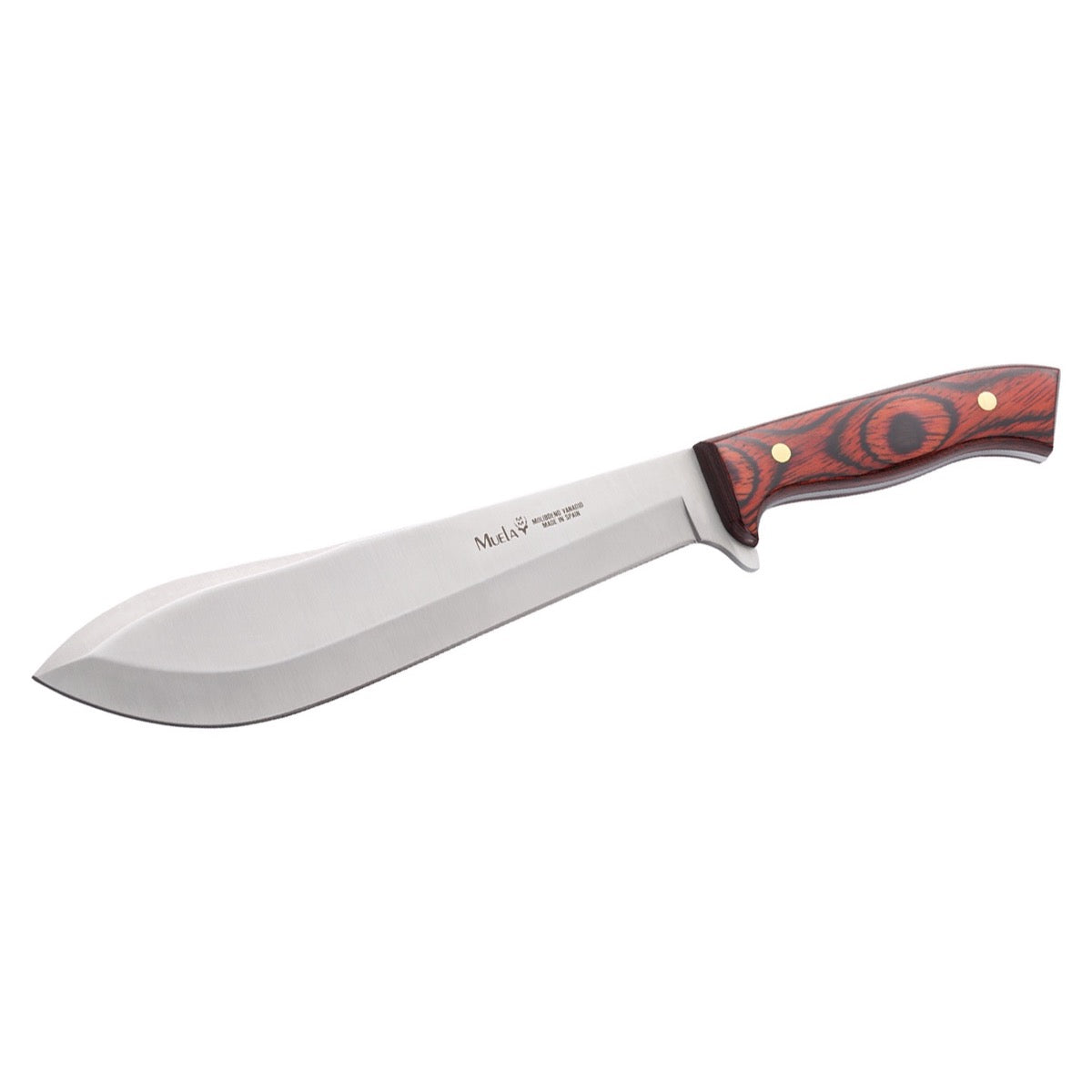 Muela MACHETE, vista del producto sobre fondo blanco