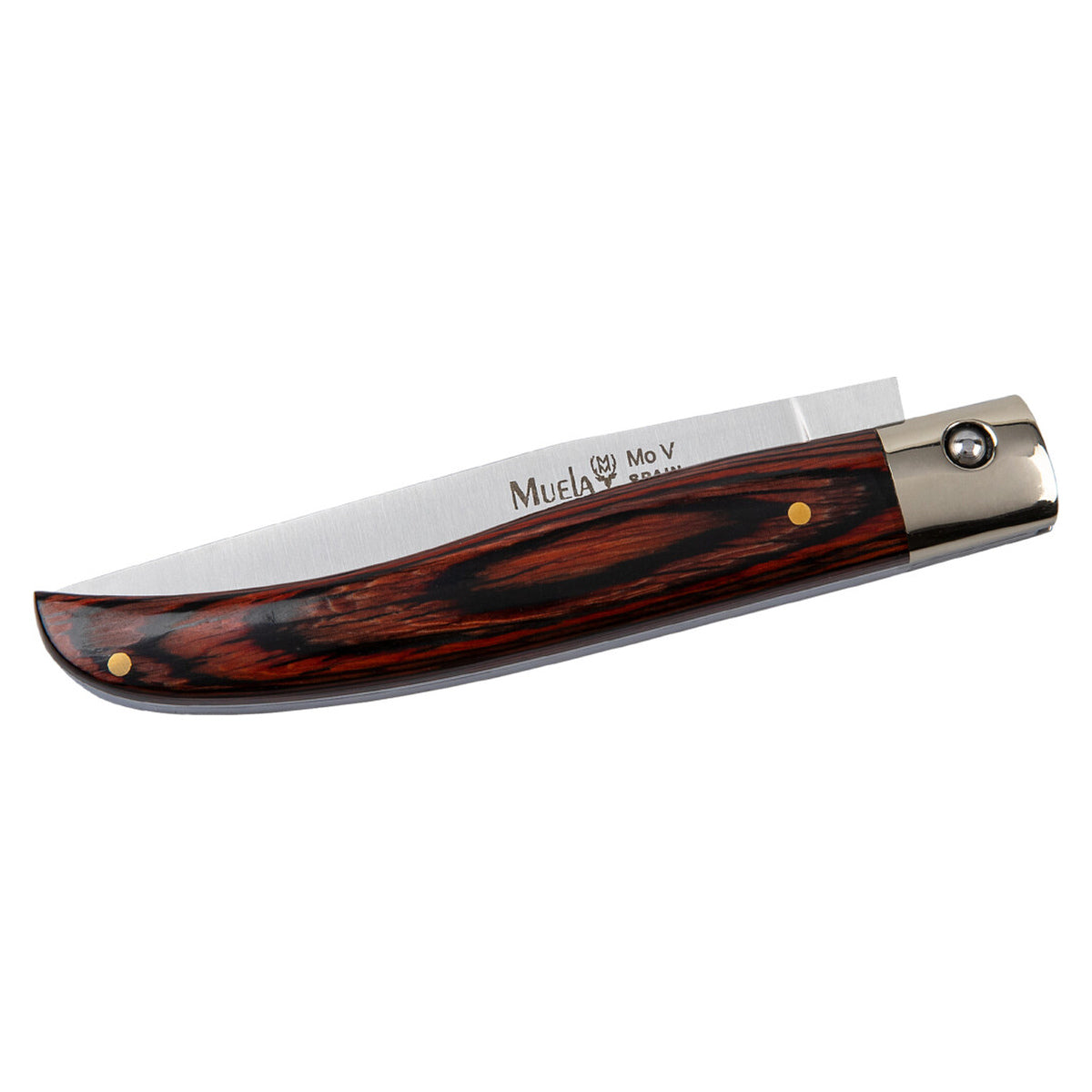 Muela P-9VR · vista 2