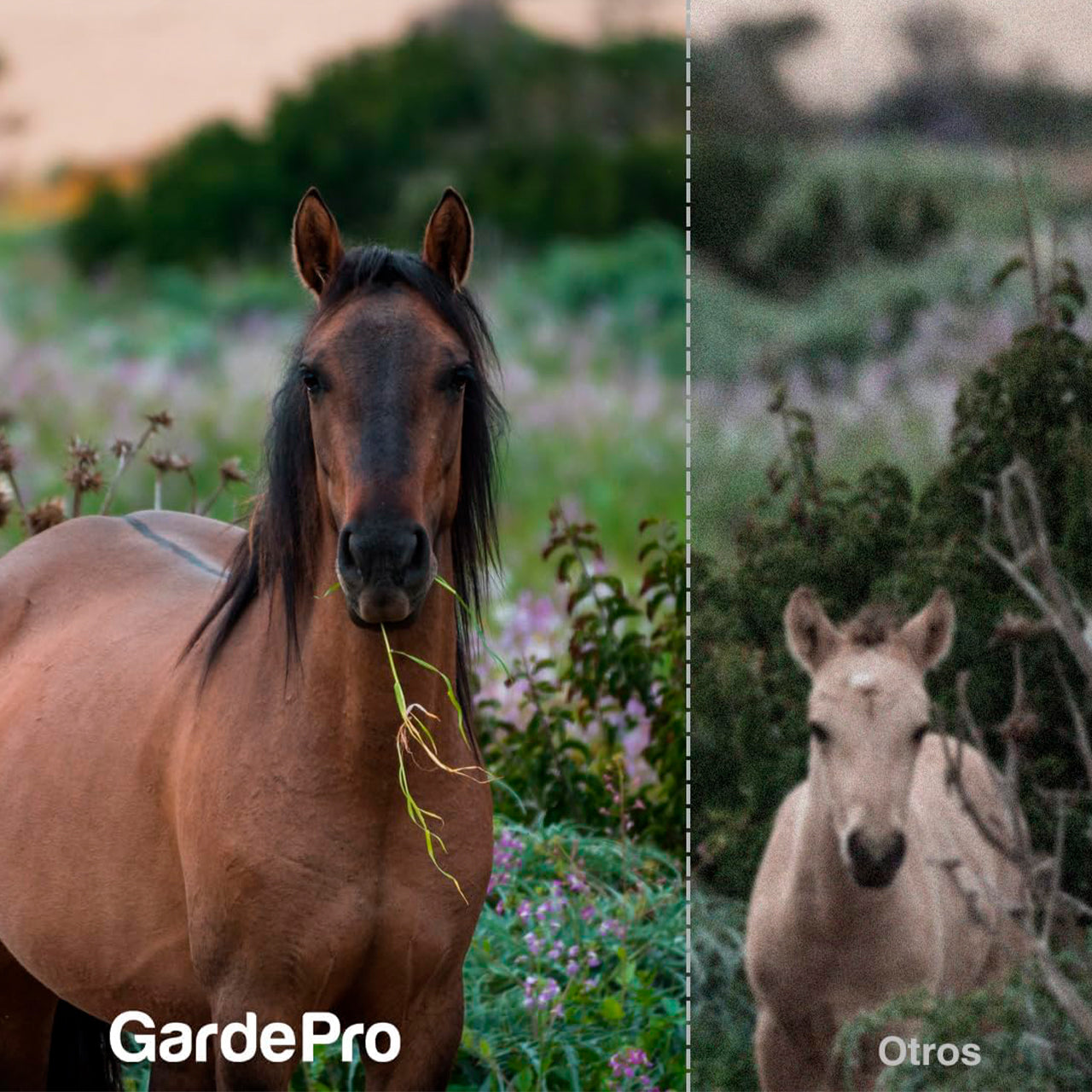 Cámara Fototrampeo GardePro E5 S