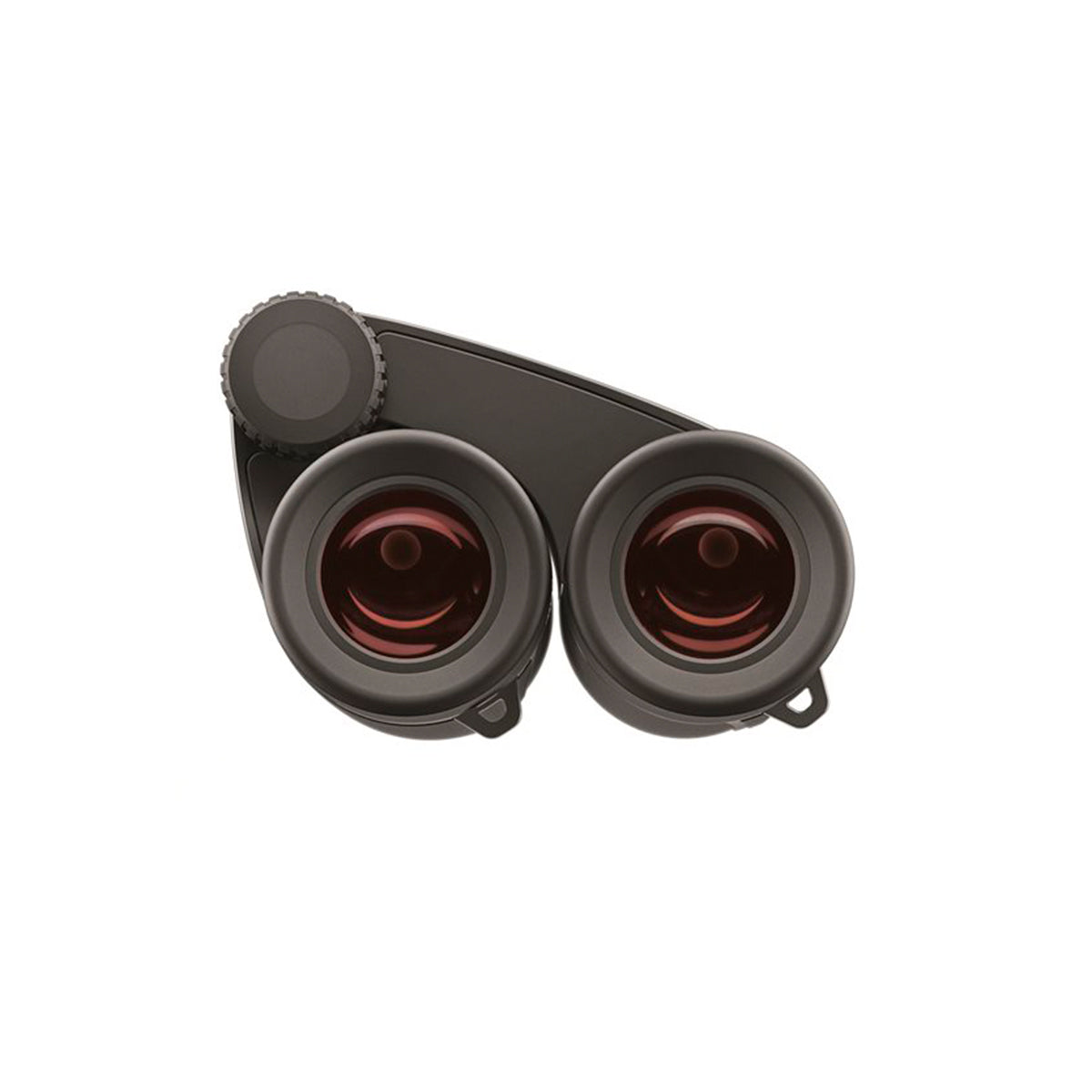 Prismáticos Zeiss Victory Pocket