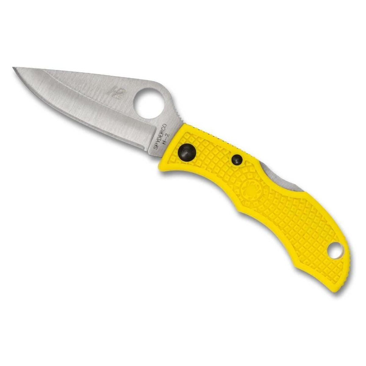 Navaja Spyderco Ladybug 3 Salt · vista 2