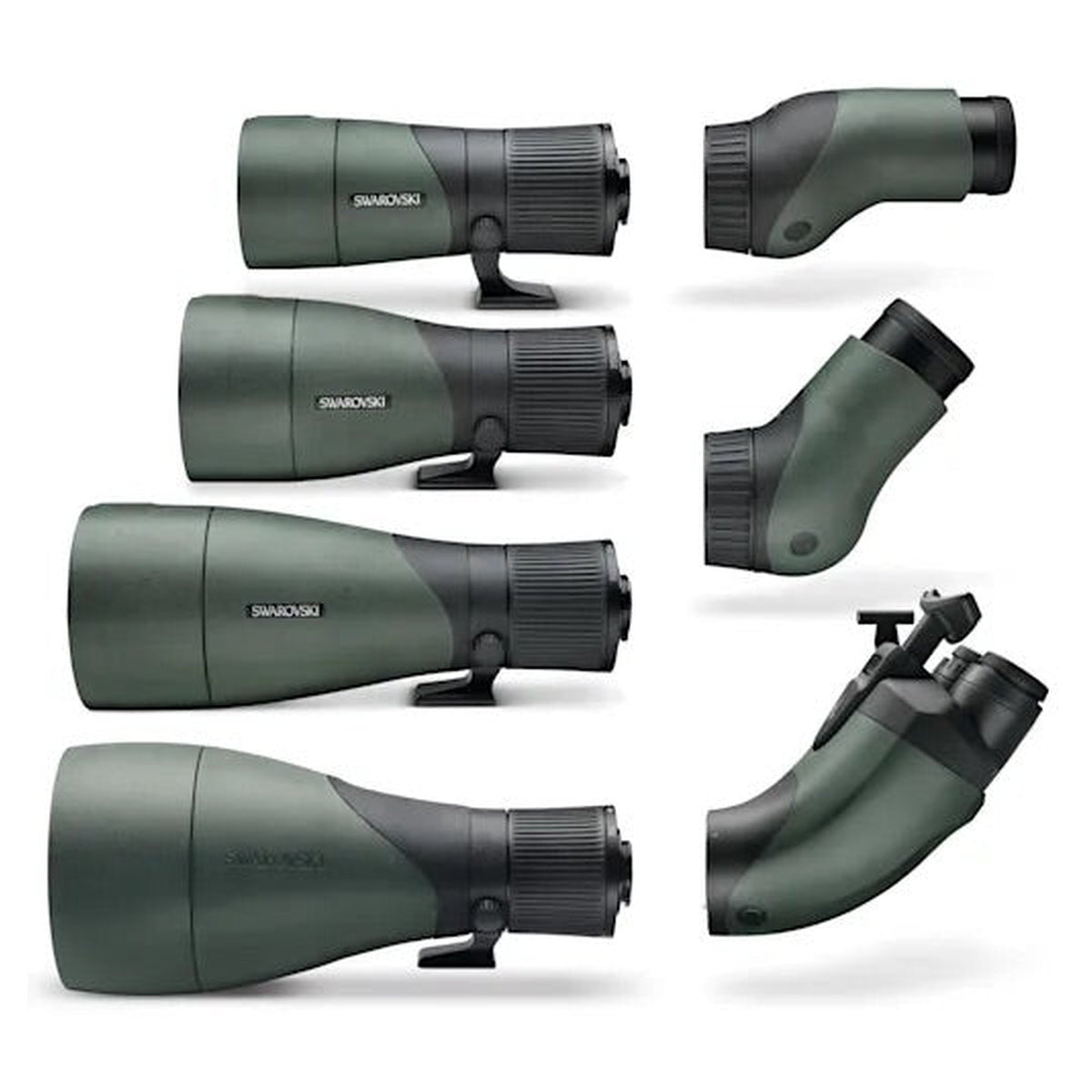 Telescopio modular Swarovski Optik STX