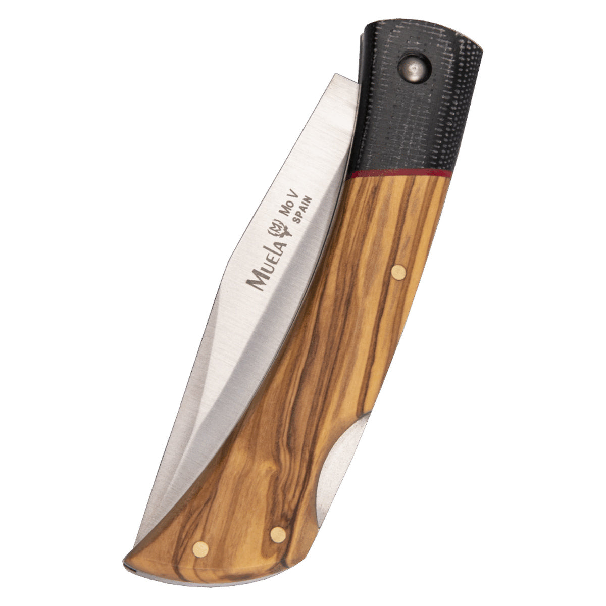 Muela BT-9OL.M · vista 2