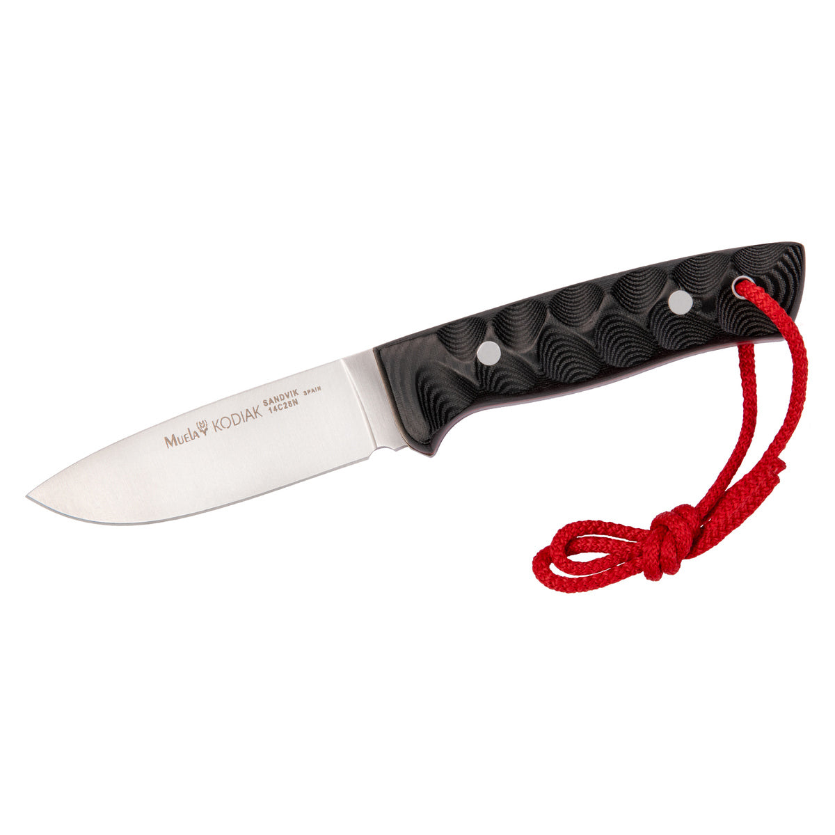 Muela KODIAK-10SV.M sobre fondo blanco